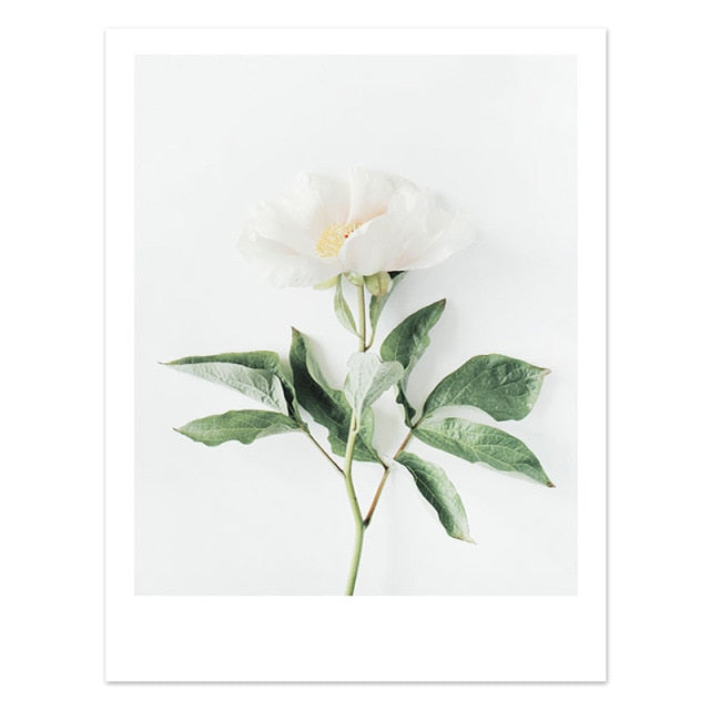 Islamic Quote Green Leaves Canvas Painting Nordic Tulip Flower Wall Art Decor Minimalist Poster Print Modern Picture Living Room